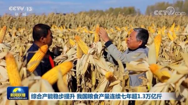综合产能稳步提升 我国粮食产量连续七年超1.3万亿斤