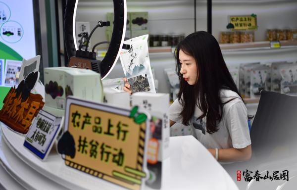 现代版“富春山居图”｜金米村：从“无金又无米”到“多米又多金”