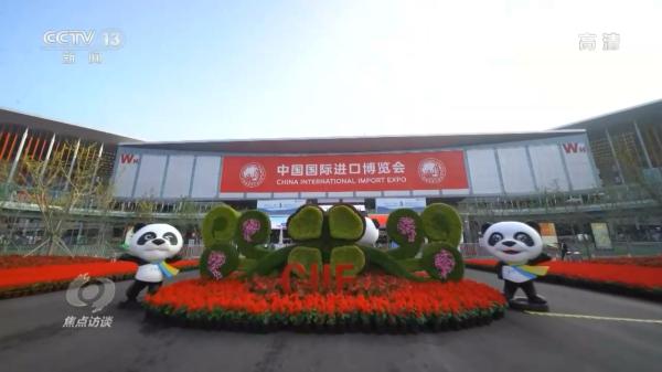 焦点访谈：掌舵领航 破浪扬帆