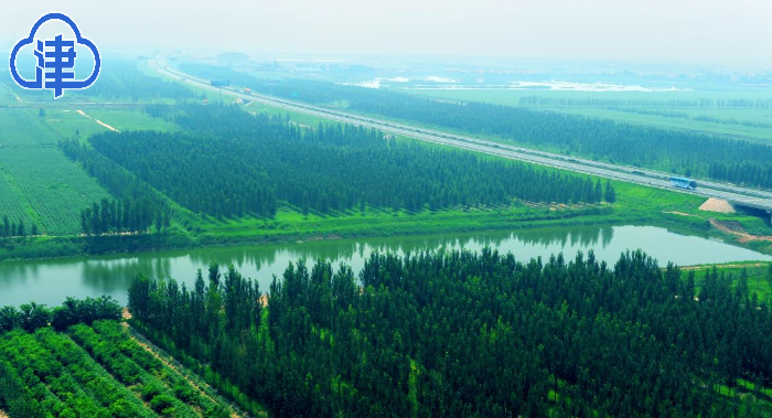 【千问千寻大运河】运河“津”朝更好看——“千问千寻大运河”(天津段)网络主题活动启动