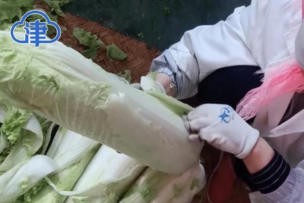 【千问千寻大运河】行走运河两岸,看天津市静海非遗“惊艳满满”