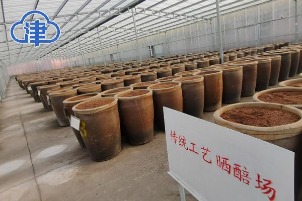 【千问千寻大运河】行走运河两岸,看天津市静海非遗“惊艳满满”