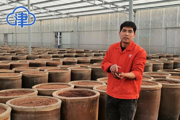 【千问千寻大运河】行走运河两岸,看天津市静海非遗“惊艳满满”