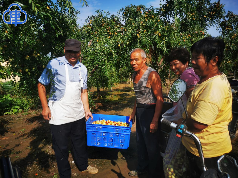 【千问千寻大运河】运河畔的乡村振兴之问 小高庄村这样回答