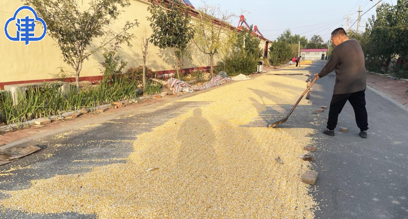 【千问千寻大运河】运河畔的乡村振兴之问 小高庄村这样回答