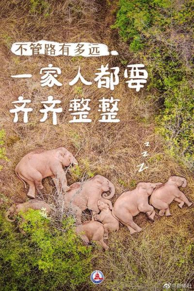 回望：敬2021