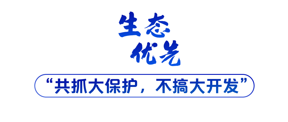 学习关键词丨听，长江经济带高质量发展“协奏曲”