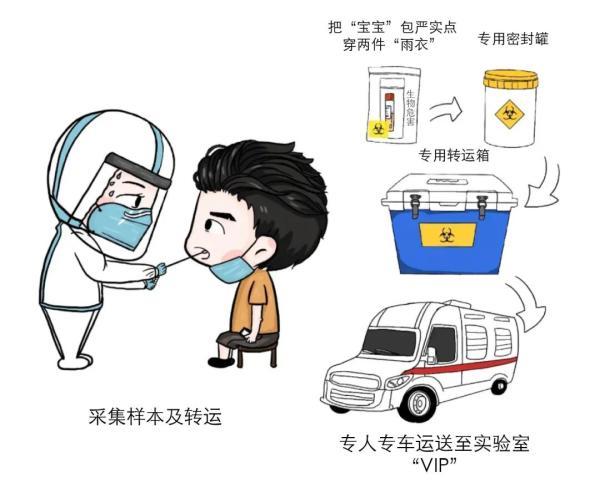 还没查到核酸检测结果？其实这事儿“没那么简单”……