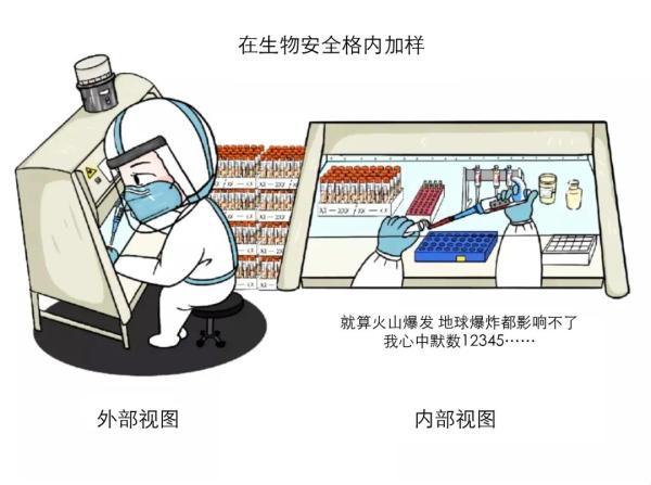 还没查到核酸检测结果？其实这事儿“没那么简单”……