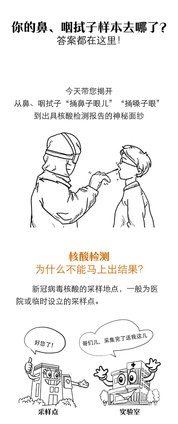 【一图读懂】核酸检测都有哪些流程？为什么不能马上出结果？
