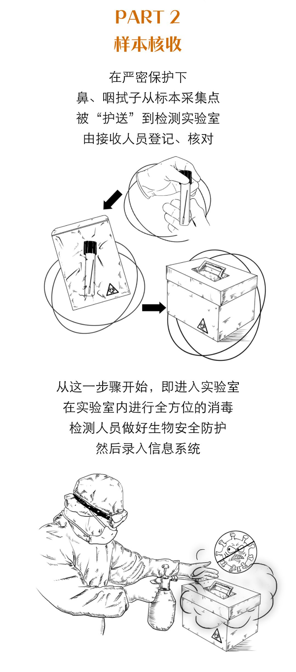 【一图读懂】核酸检测都有哪些流程？为什么不能马上出结果？