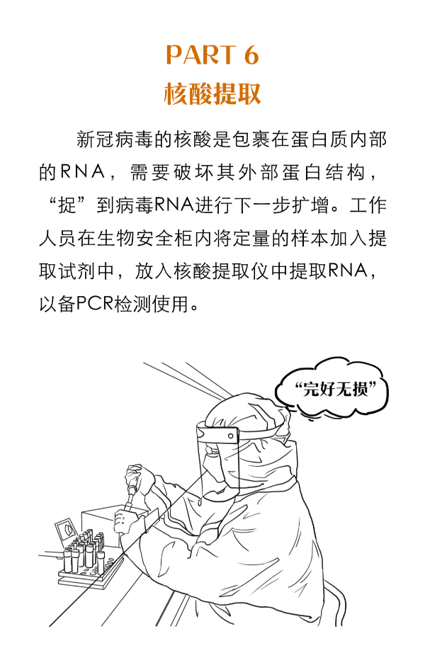 【一图读懂】核酸检测都有哪些流程？为什么不能马上出结果？