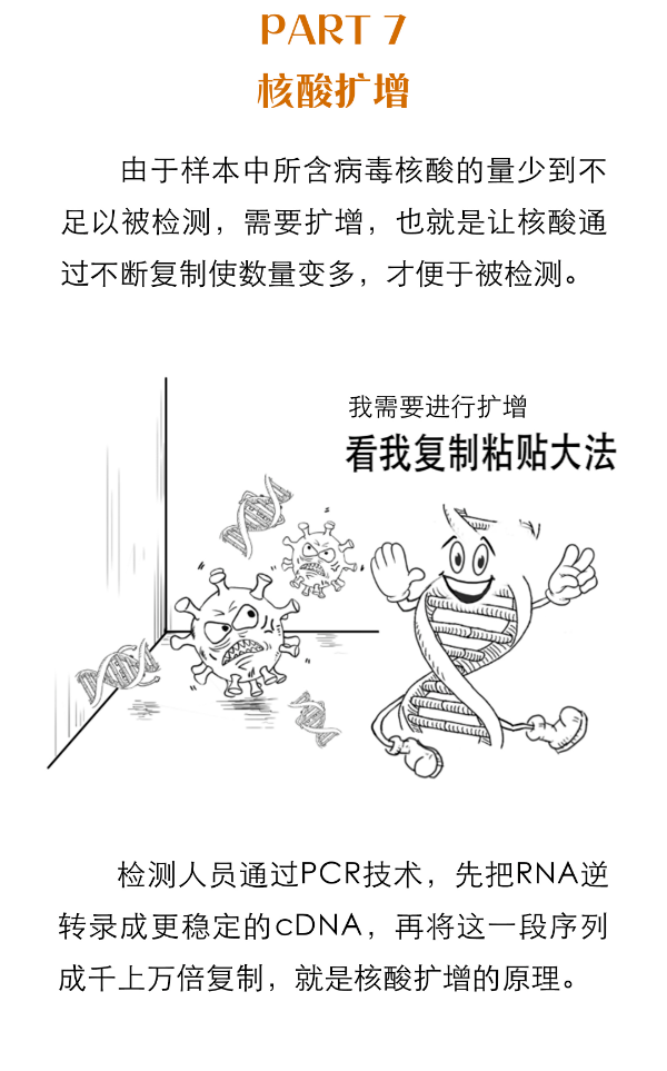 【一图读懂】核酸检测都有哪些流程？为什么不能马上出结果？