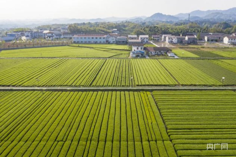 【开局十四五】湖南：长链善舞构筑国之重器高地 对标一流通江达海抢滩五洲