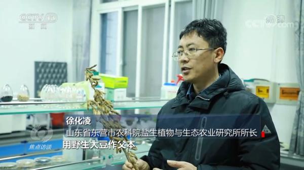 焦点访谈：总书记的牵挂 让黄河造福人民