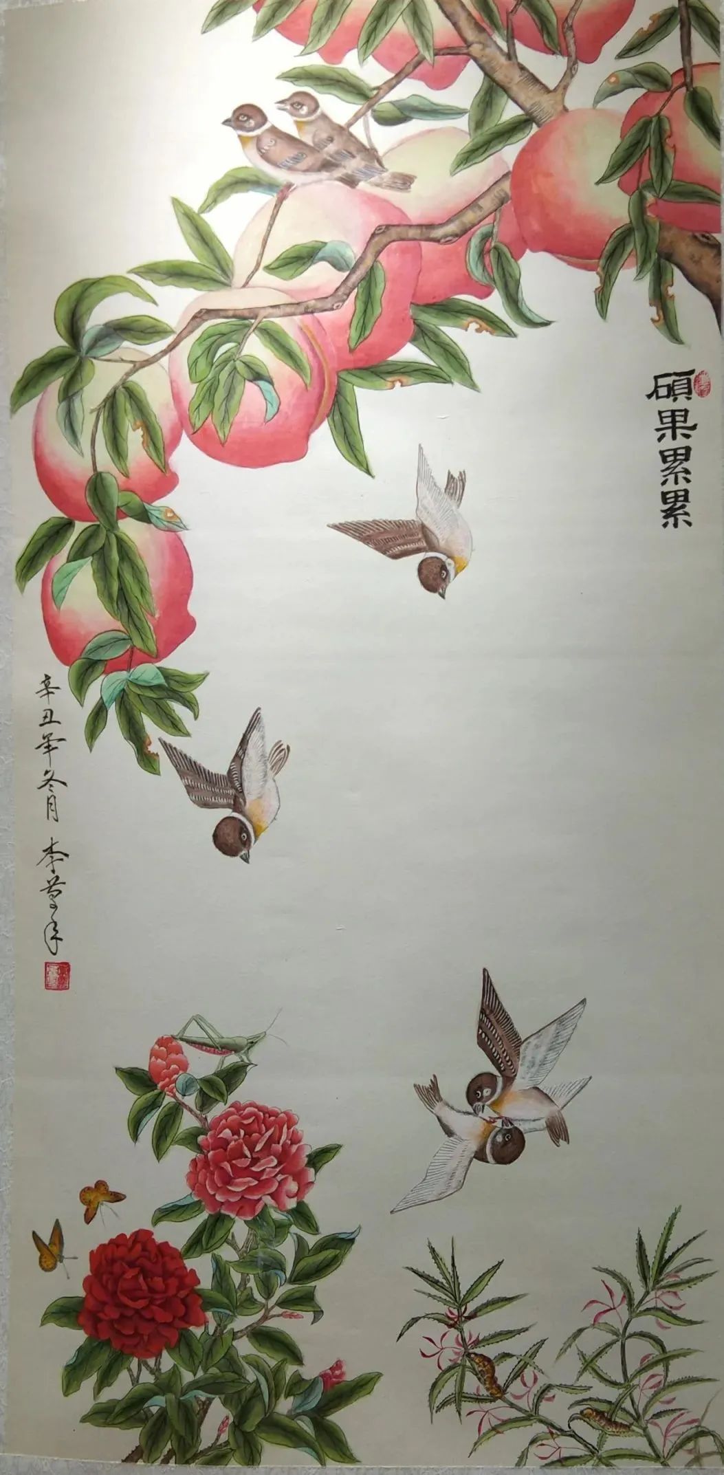 图片