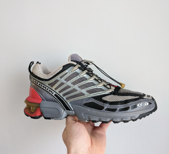 Salomon GCS pro 市场价 3300