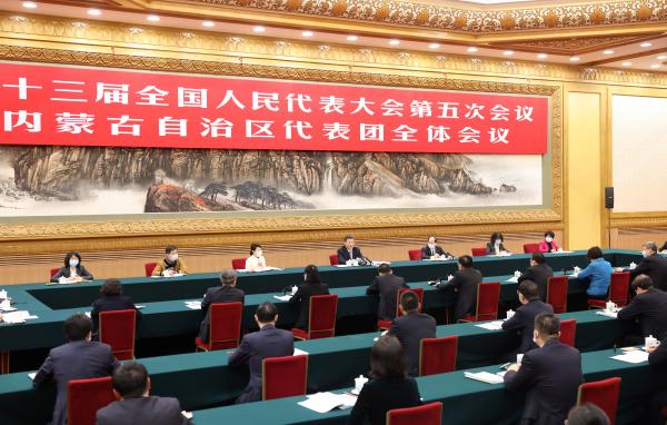 人民领袖｜习近平两会之“喻”