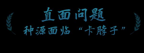 春事看农桑丨播下好种子，丰收有底气