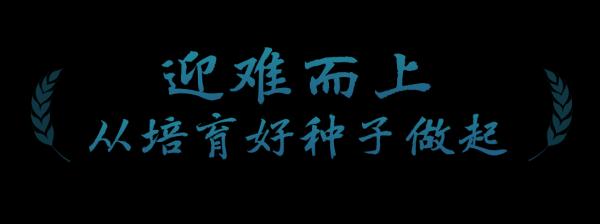 春事看农桑丨播下好种子，丰收有底气