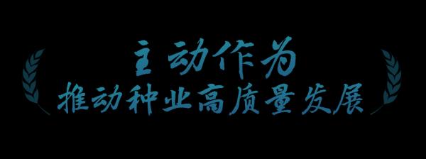 春事看农桑丨播下好种子，丰收有底气