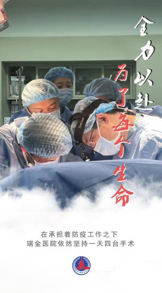海报|共同守“沪”，让我们在春光里重逢