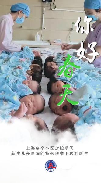 海报|共同守“沪”，让我们在春光里重逢