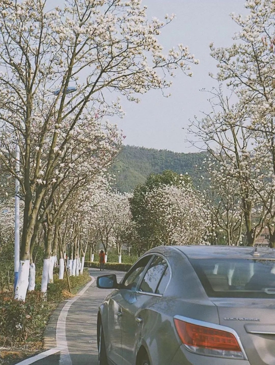 @小红书/莫干山旅游度假区