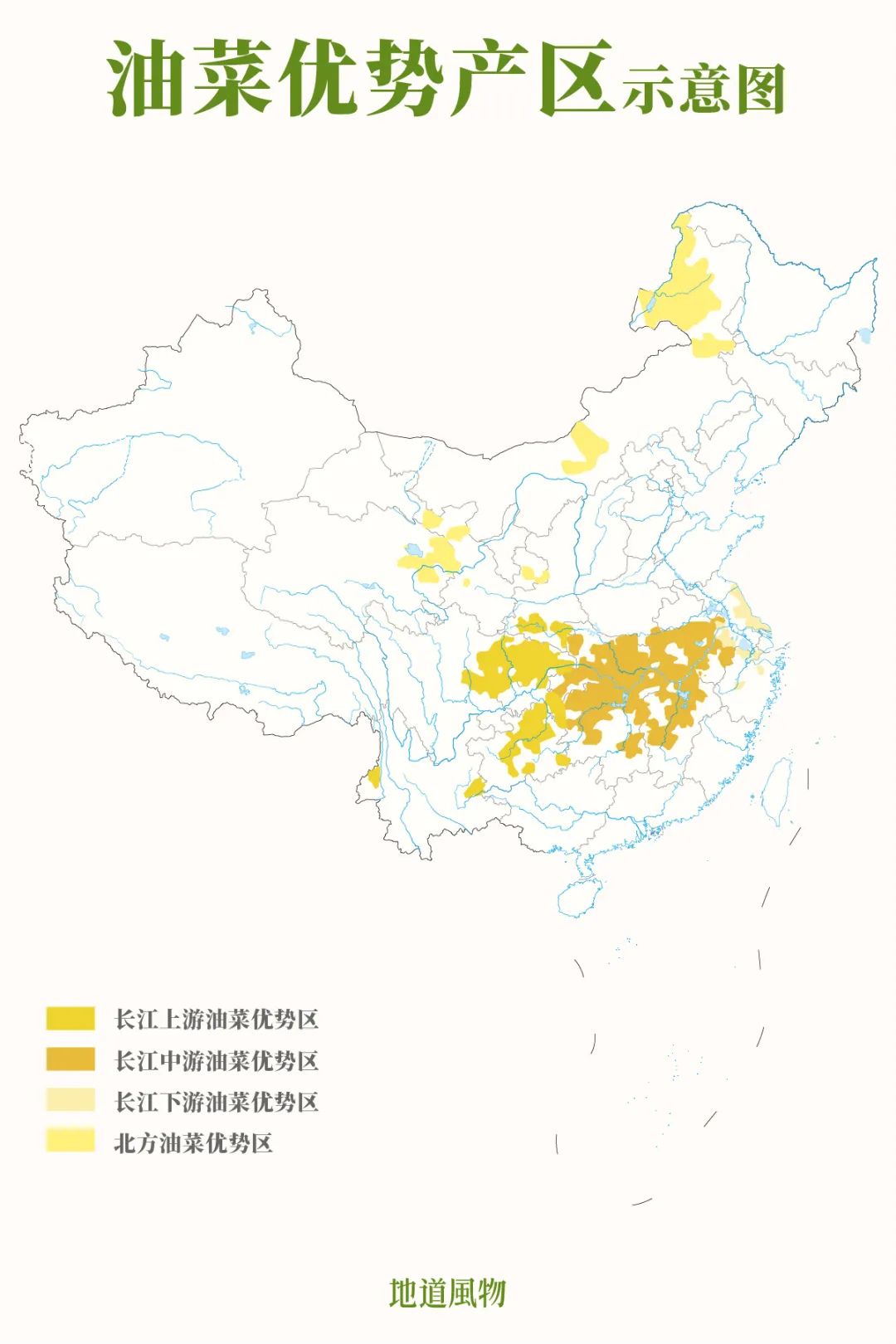 长江沿线，是我国油菜最集中的产区。制图/孙璐
