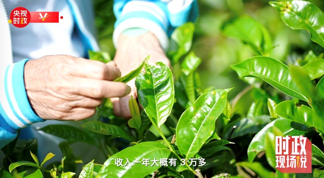 时政现场说丨与总书记聊特色产业 话乡村振兴