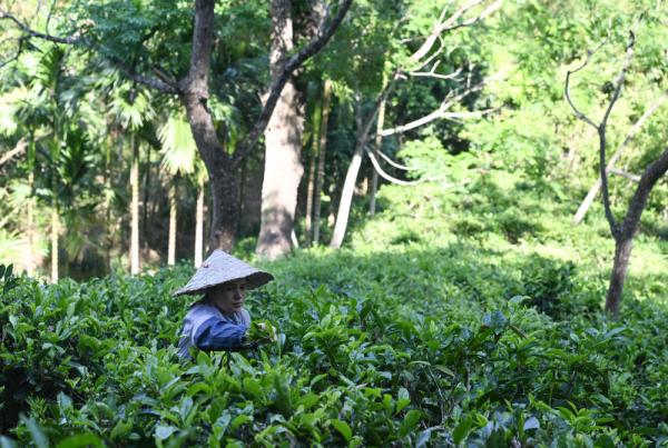 第一观察丨总书记说的“巩固住再往前走”是何深意
