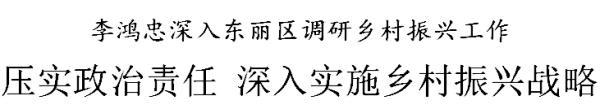 李鸿忠深入东丽区调研乡村振兴：压实政治责任，深入实施乡村振兴战略
