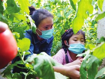 西青区文旅消费“热”起来 别样假期体验原汁原味乡村游