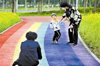 保税区空港区域1.4万平方米油菜花相继开放 七彩花田变装“黄色海洋”
