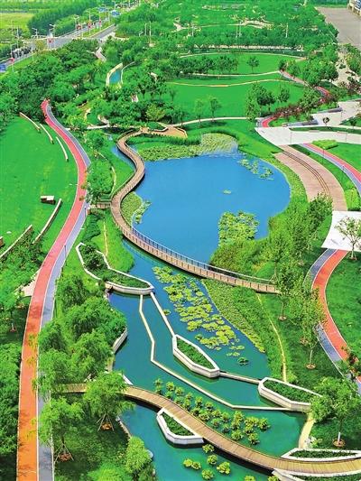 走进中新天津生态城 “解锁”花园城市的美丽密码