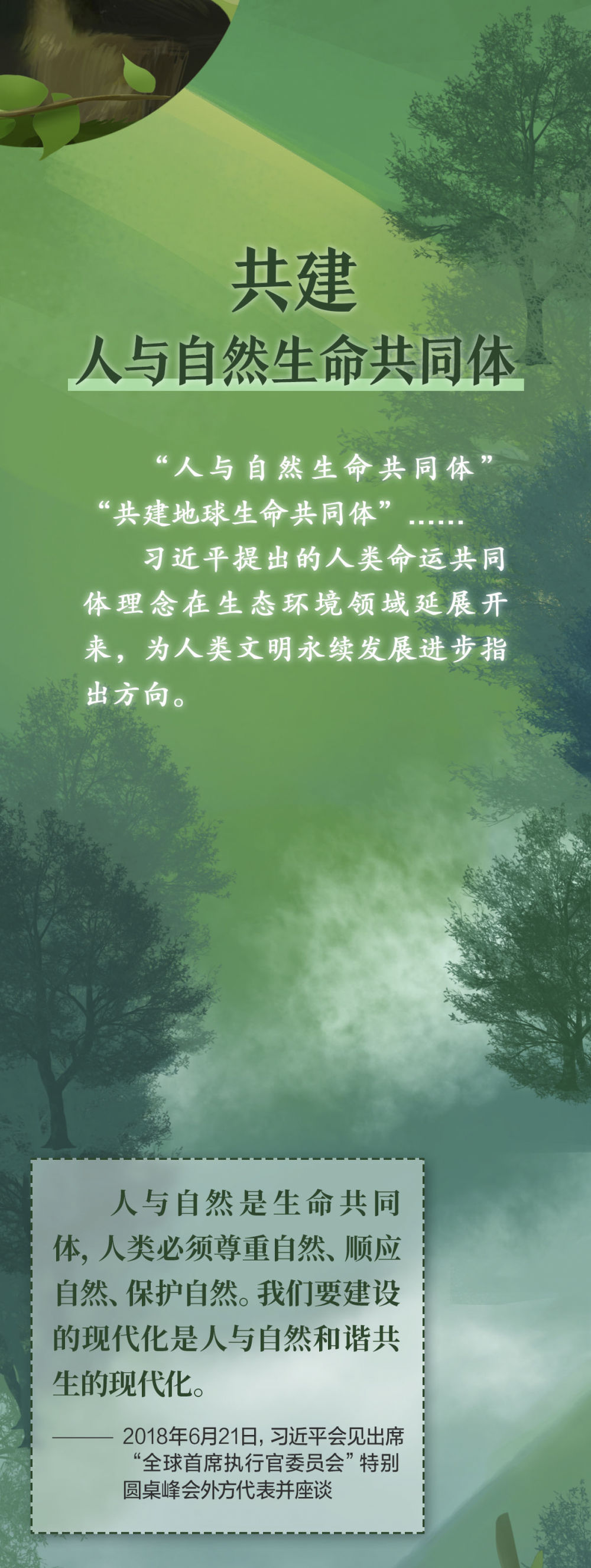 共同构建人与自然生命共同体 习近平这样论述