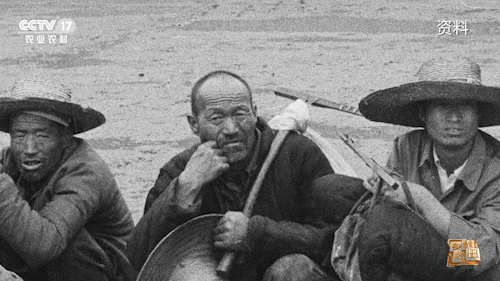 大国“粮”策 | 今天，农机称霸麦田，但我们也不会忘记曾经“麦客”的身影……