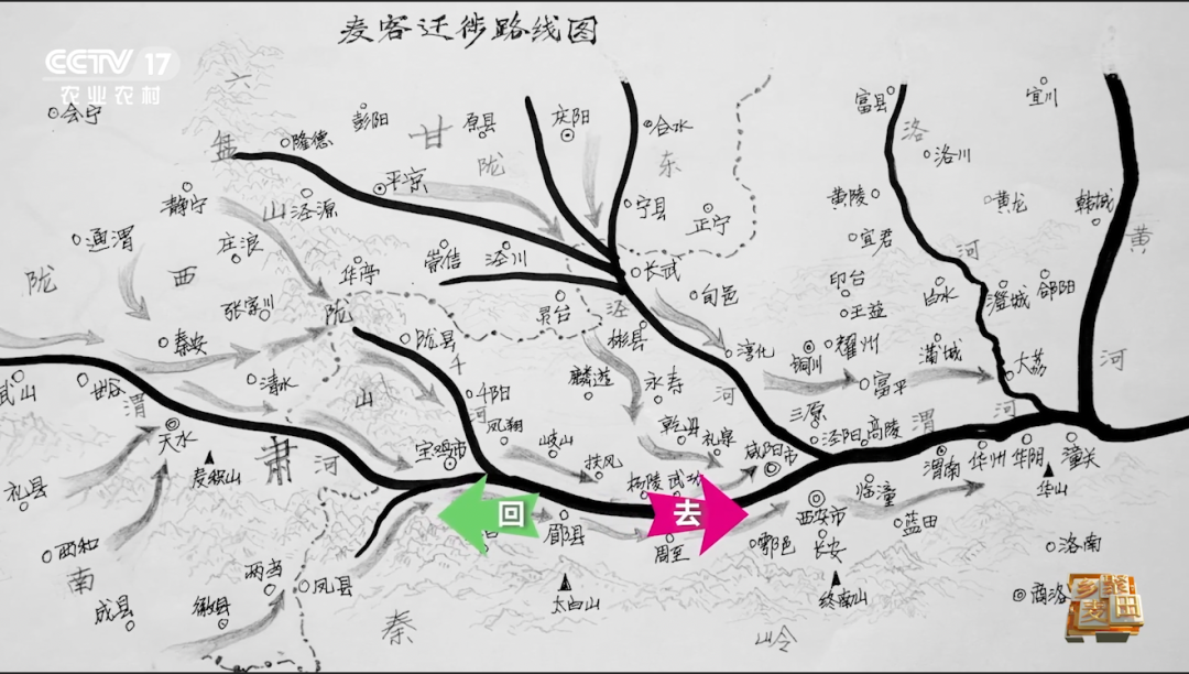 大国“粮”策 | 今天，农机称霸麦田，但我们也不会忘记曾经“麦客”的身影……