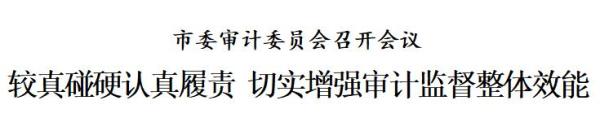 天津市委审计委员会：较真碰硬认真履责 切实增强审计监督整体效能