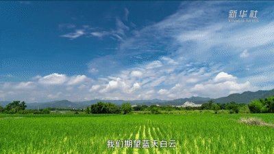 我与总书记“同框”丨用双手播种绿色
