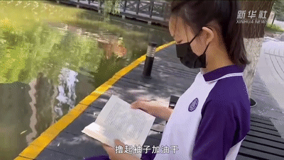 我与总书记“同框”丨用双手播种绿色
