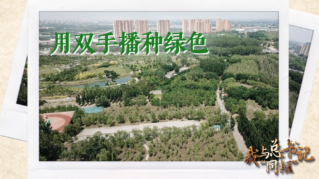 我与总书记“同框”丨用双手播种绿色
