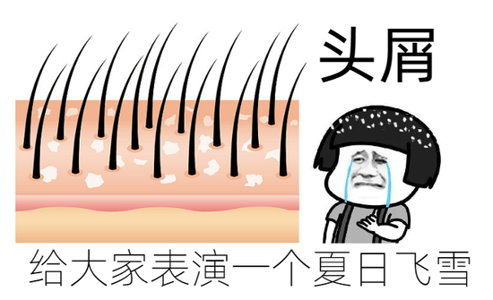 图源：视觉中国