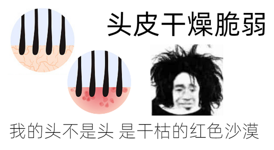 图源：视觉中国
