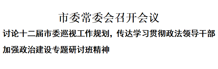 市委常委会召开会议