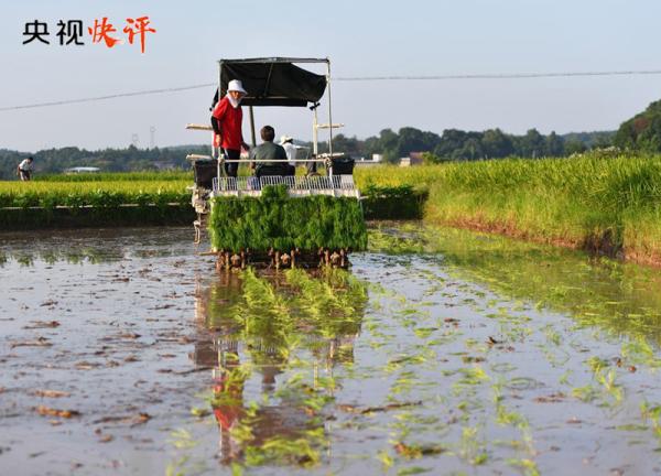 【央视快评】保护农业文化遗产是人类共同的责任