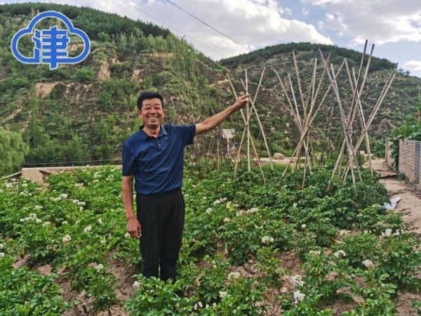 非凡十年丨黄土高原生态治理样板村：这里的“绿色接力”如火如荼……
