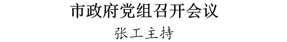 市政府党组召开会议