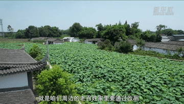 我与总书记“同框”丨我为乡村振兴献青春