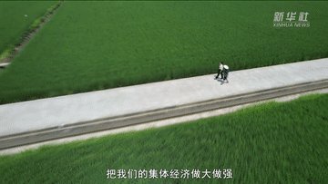 我与总书记“同框”丨我为乡村振兴献青春